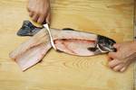 Trout processing