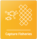 Capture Fisheries