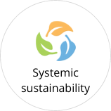 Systemic sustainability