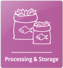 Processing & Storage