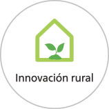 Innovación rural