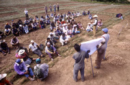 ©FAO/R. Jones
