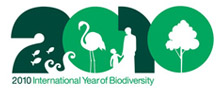 International Year of Biodiversity logo