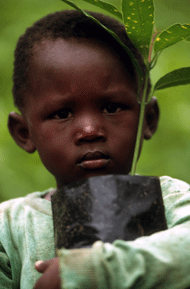©FAO/Antonello Proto / FAO