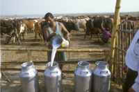 ©FAO/Giampiero Diana