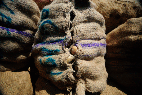 ©FAO/Munir Uz Zaman / FAO