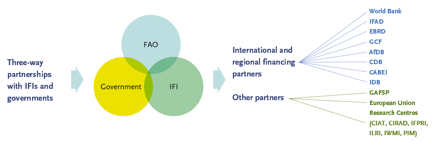 Three-way partnerships with IFIs and governments