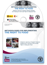 Methodologies for Implementing the Right to Food