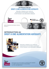 A Primer to the Right to Adequate Food