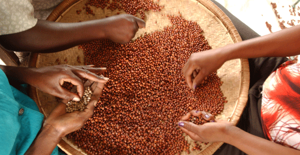 ©FAO/Giuseppe Bizzarri