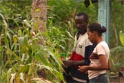 République Dominicaine- Une jeune étudiante décrit sa vie rurale en République Dominicaine et comment le programme TeleFood de la FAO aide la communauté. Même si c’est une importante zone agricole, c’est une mauvaise période car l’industrie sucrière s’est effondrée.