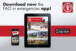 Download now!