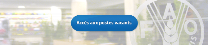 Comment Presenter Une Candidature Emploi A La Fao Organisation Des Nations Unies Pour L Alimentation Et L Agriculture