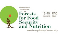 International Conference on Forests for Food Security and Nutrition