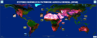 EMBRAPA map © FAO