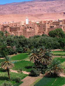 ©FAO/ P. Koohafkan/J. Bedel