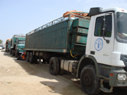 Trucks full of sorghum, millet, maize and cowpea seeds on their way to Mauritania’s south and southeast