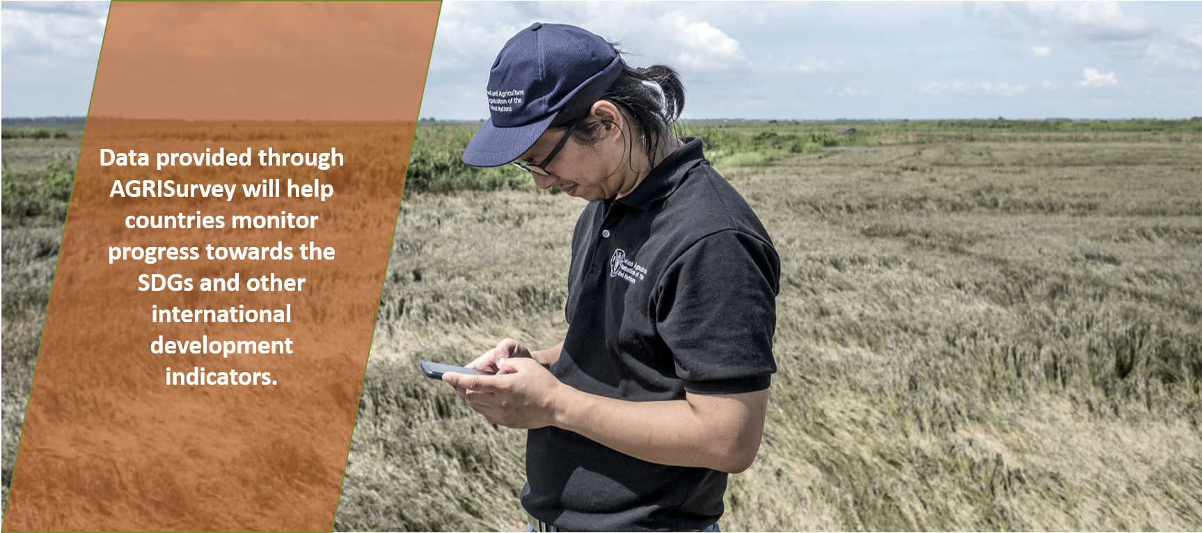 Agricultural Integrated Survey Programme AGRISurvey Food and Agriculture Organization of the