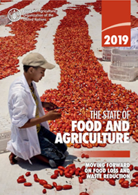 The State Of Food And Agriculture 19