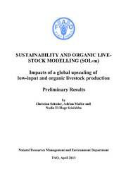 download document