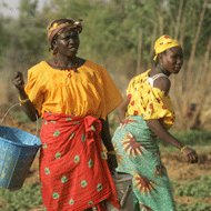 ©FAO/Giulio Napolitano