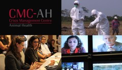 Rapid response, today and tomorrow