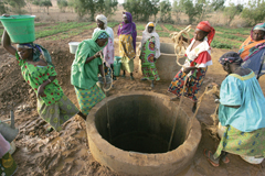 © FAO/Giulio Napolitano