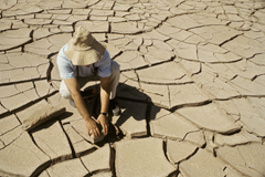 © FAO/6025/H.Null