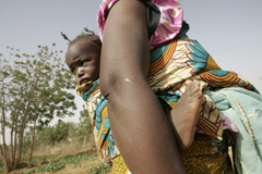 © FAO/Giulio Napolitano