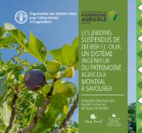 Les jardins suspendus de Djebba El-Olia: un système ingénieux du patrimoine agricole mondial à savourer