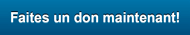 donate now logo