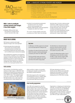 Fact sheet: Goal 1
