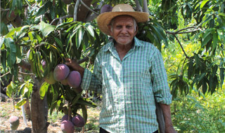 Climate-Smart Agroforestry Systems for the Dry Corridor of Central America
