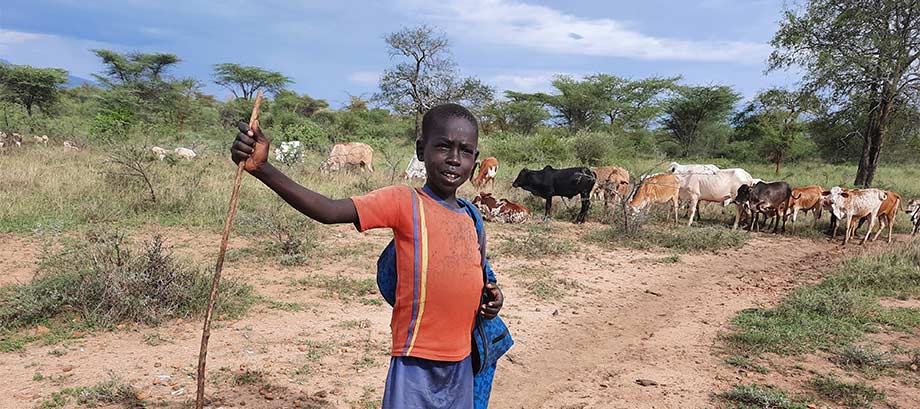 Child labour in pastoral communities in Karamoja – an intense experience shaping the future research agenda and influencing recovery