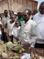 © FAO/R. Laub 2006