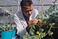 © FAO/23100J.Spaull
