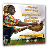 Global Strategy brochure