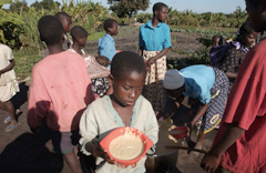© FAO/G. Bizzarri