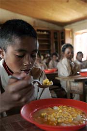 Madagascar – With TeleFood school garden projects more children are attending classes, eating better and even learning a few farming tricks.