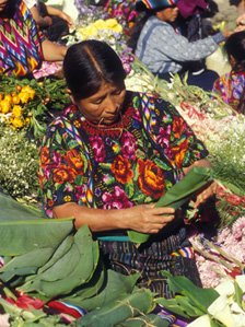 ©FAO/R. Grisolia