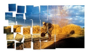 © FAO