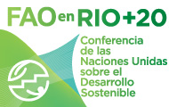FAO en Rio+20