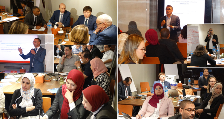 FAO and NFSA develop a risk-based imported food control system for Egypt