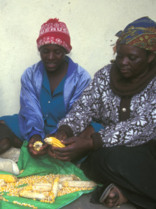 ©FAO/J. Spaull