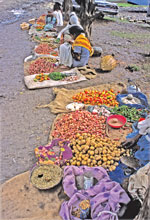 © FAO/M.Marzot