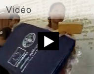 Video - World Soil Day