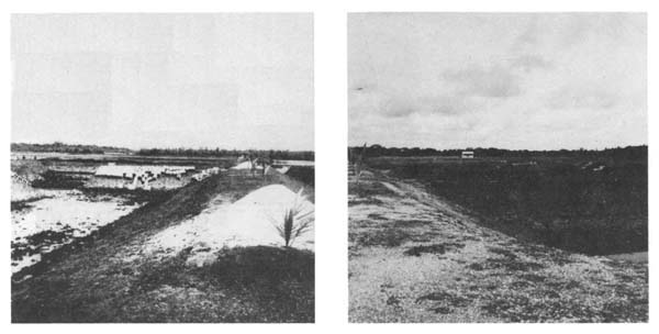 Fig.2