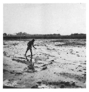 Fig.10