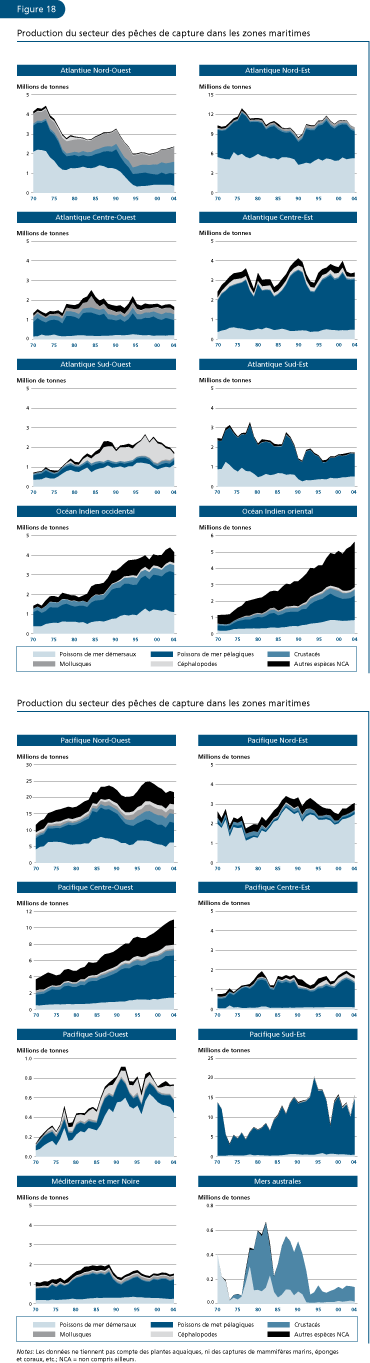 EL ESTADO MUNDIAL DE LA PESCA Y LA ACUICULTURA 2006
