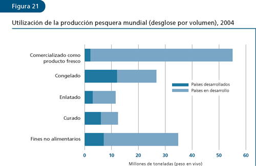 EL ESTADO MUNDIAL DE LA PESCA Y LA ACUICULTURA 2006